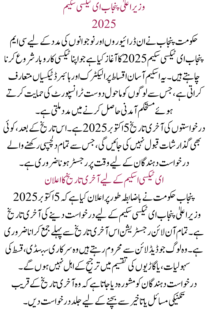 CM Punjab E-Taxi Scheme 2025