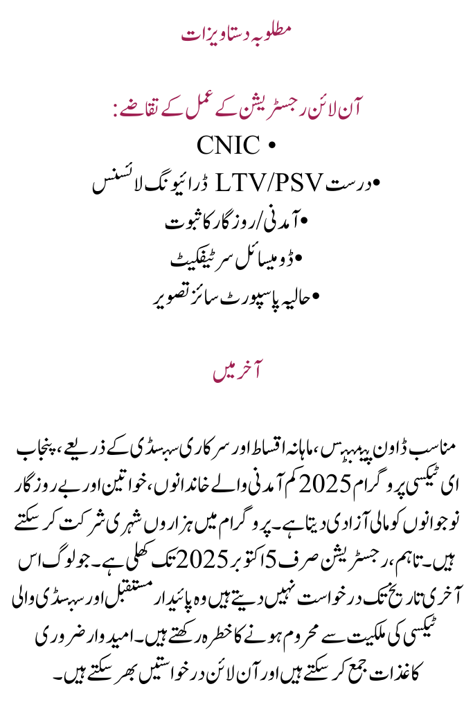 E-taxi Program 2025 Repayment Plan