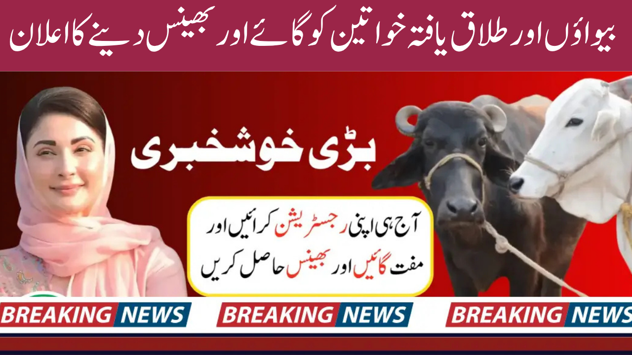 Punjab Livestock Scheme 2025 Free Cows and Buffaloes for Rural Women