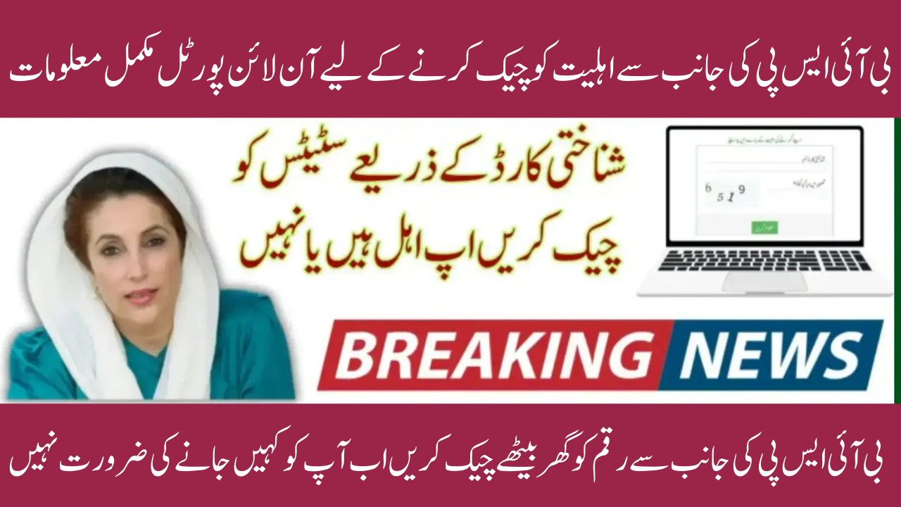 8171 CNIC Check 2025: Easy Guide to Verify BISP 13,500 Installment Online